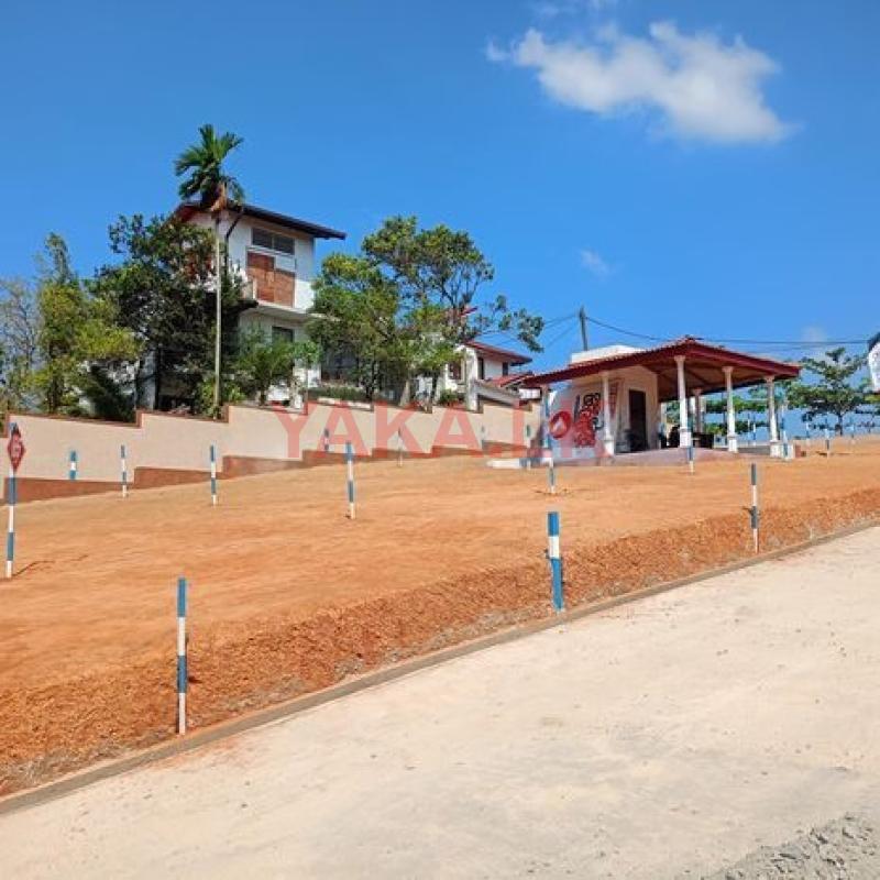 කඩවතින් අගනා බිම් කොටස් විකිණීමට