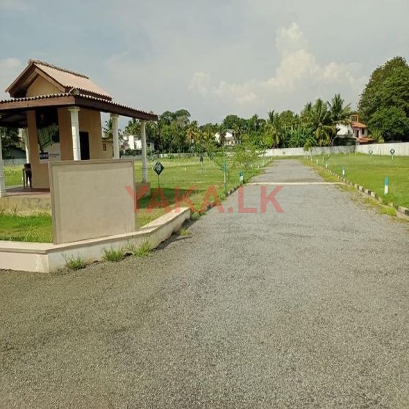 වත්තල නගරයේන් අගනා බිම් කොටස් විකිණීමට