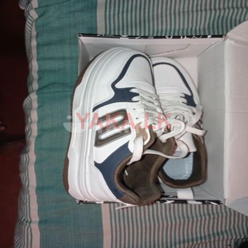Sketchers Shoes