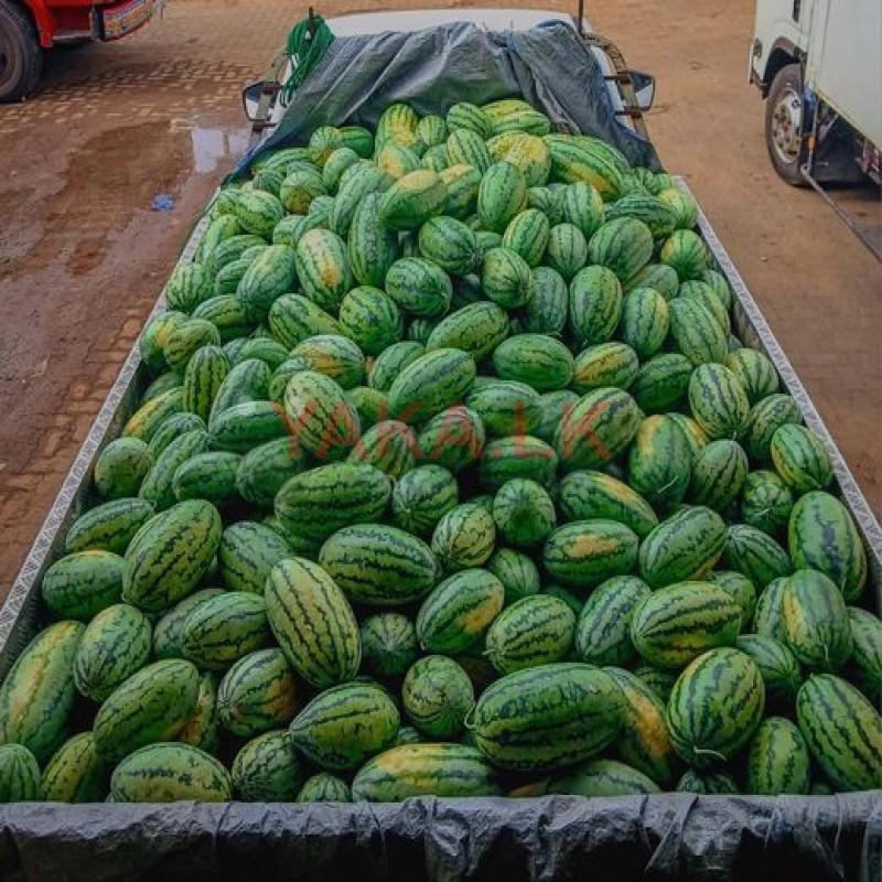 Watermelon