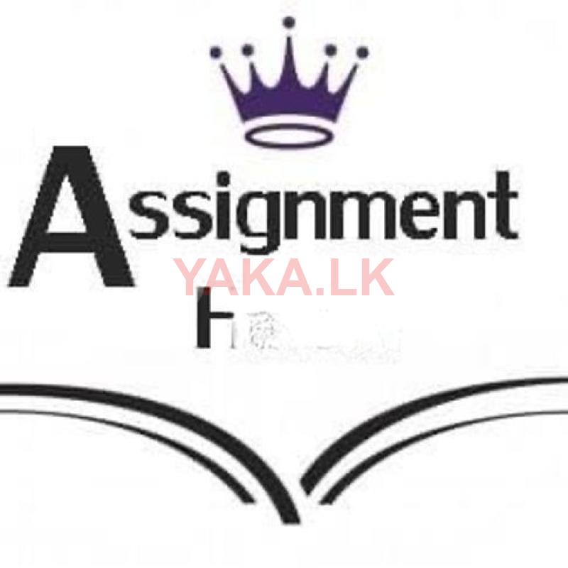 IT Assignment Helping Service