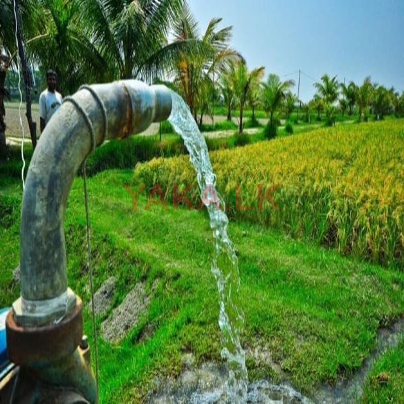 Tube well service (Hatton)