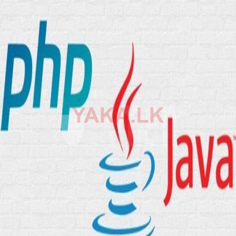 Programming / Web development class - Java PHP