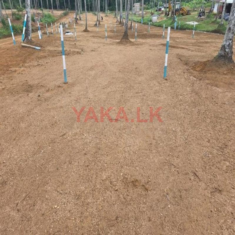 Land for Sale Gampaha