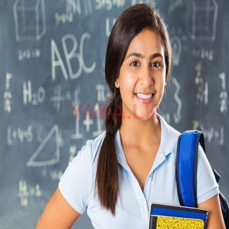 INDIVIDUAL MATHS HOME VISIT revision for IGCSE