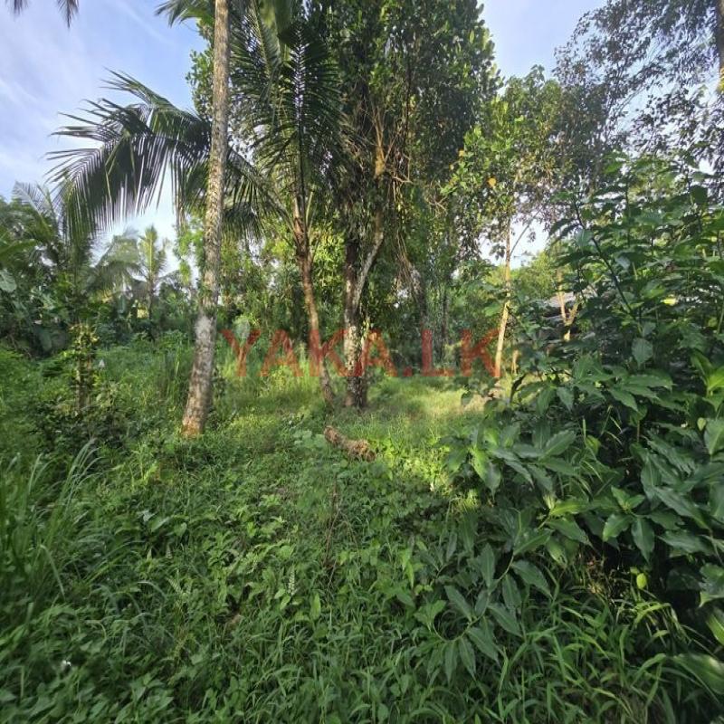 Land for Sale Gampaha