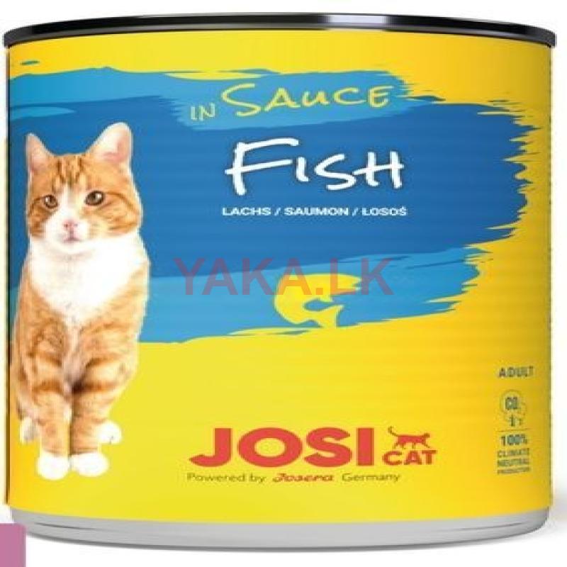 Cat wet food