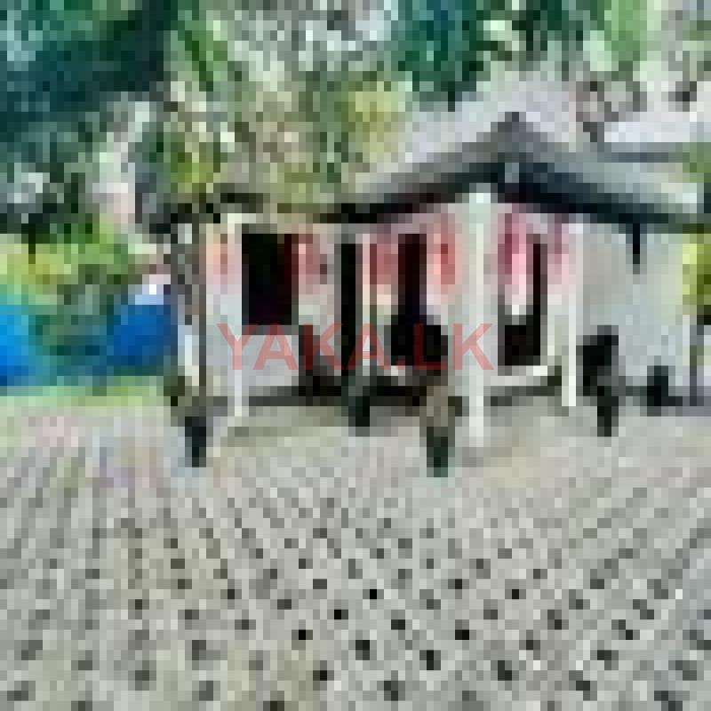 Interlock Paving Landscaping
