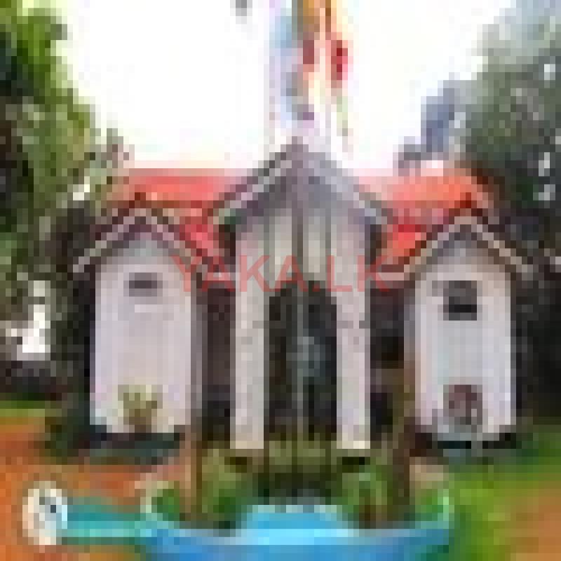 Elderly Care / Patients Nursing