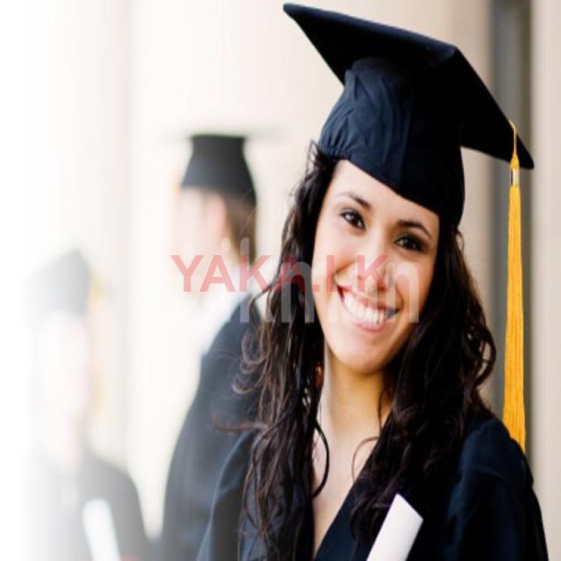 Assignment and Research Support