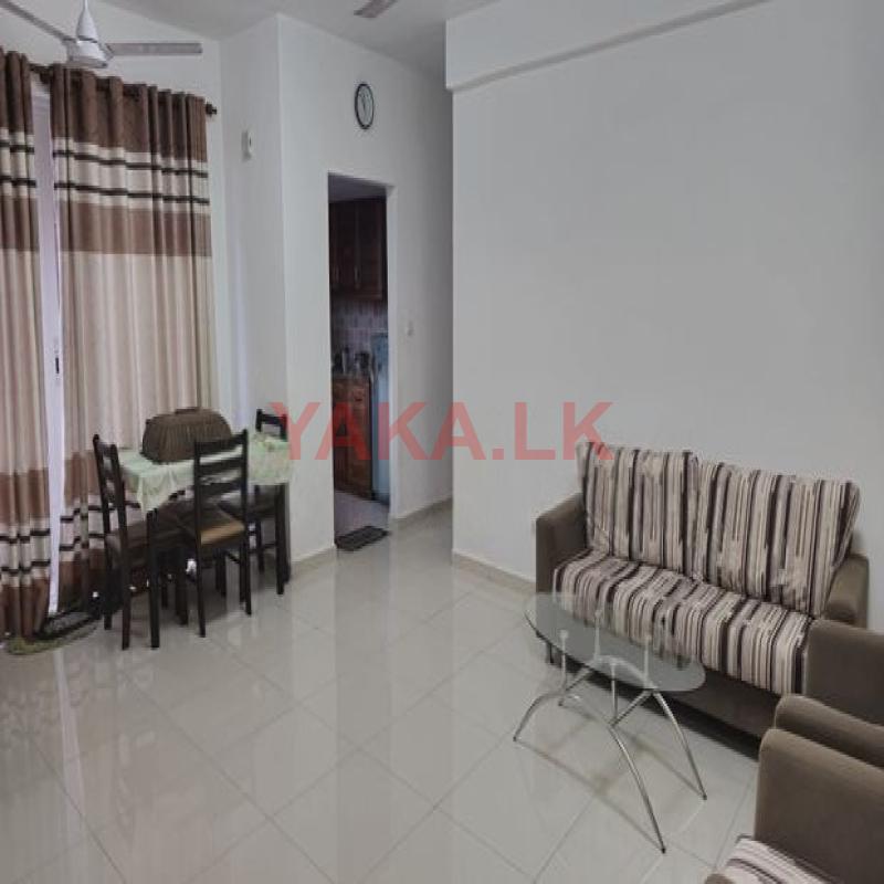 Apartment For Rent in Mount Lavinia (NAR189)