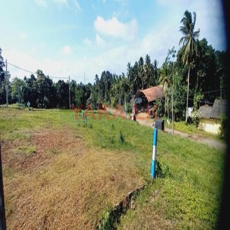 පානදුර බොල්ගොඩ ගඟට සමීපව ඉඩමක් විකිණිමට ඇත