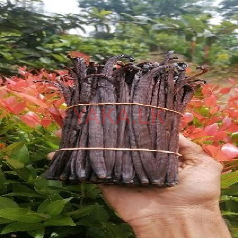 වැනිලා දඬු