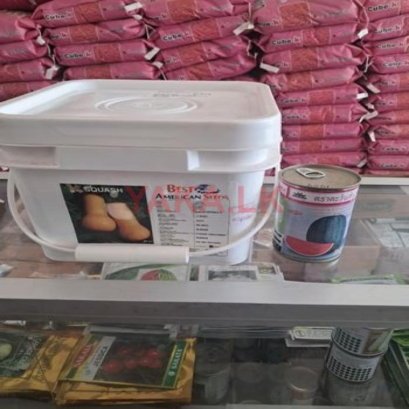ඩුබා යි වට්ටක්කා ඇට කෑ න්
