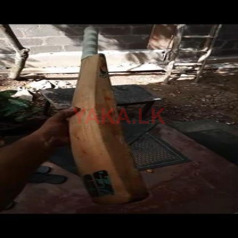 Crcket Bat