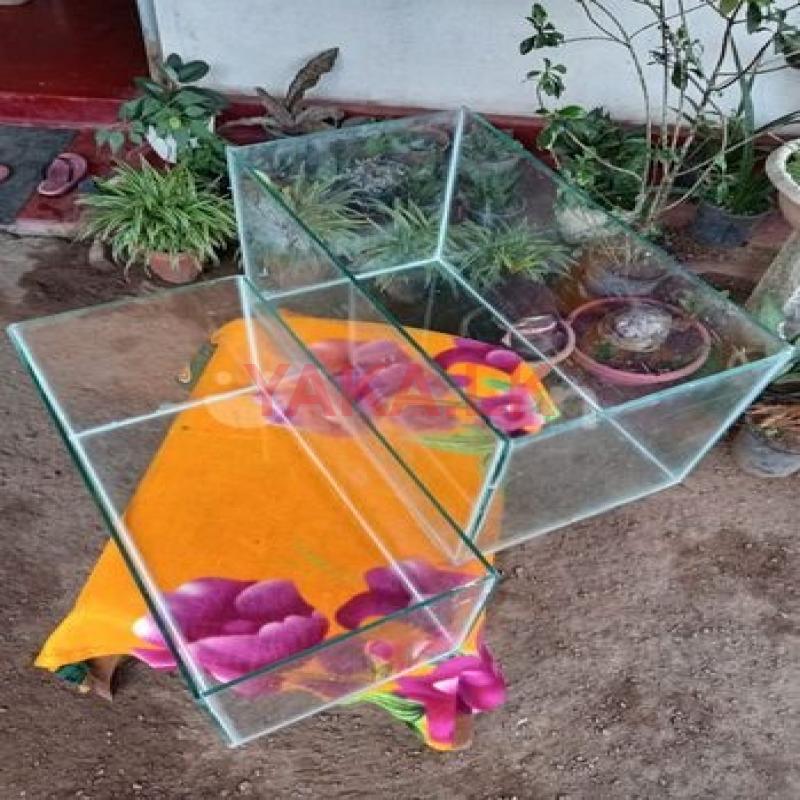 Fish Tank