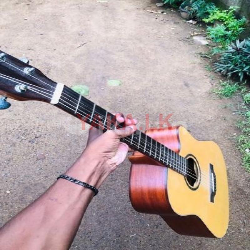 Acoustic Guitar ( Martin Lee Rd41c )