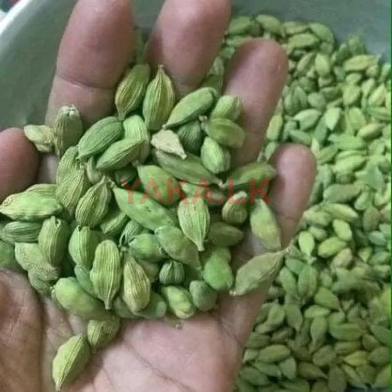 එනසාල්/cardamon