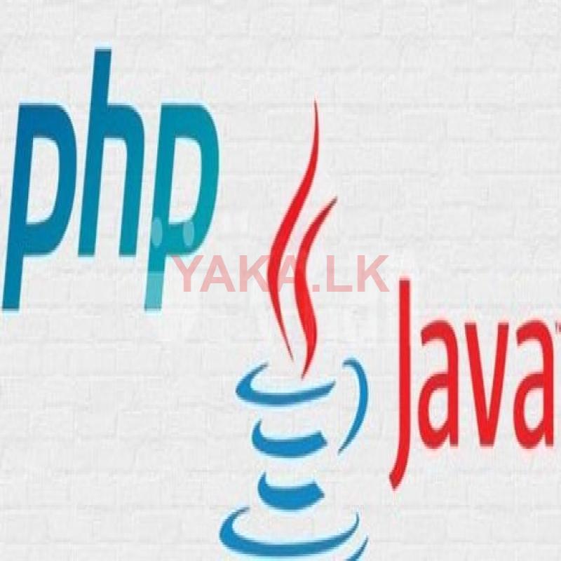 Programming / Web development class - Java PHP