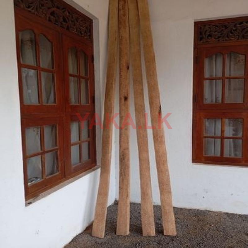 පොල් යට ලී