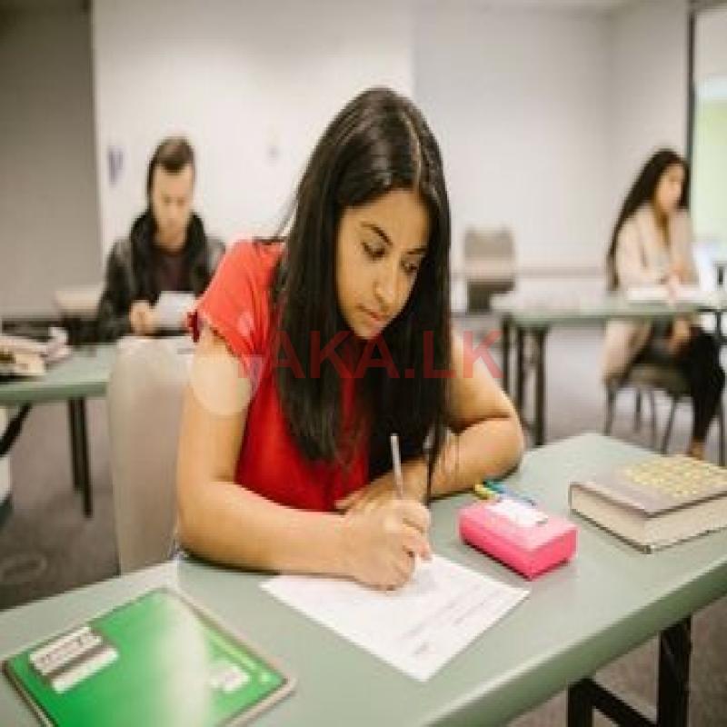 Physics Tuition for Igcse 2025