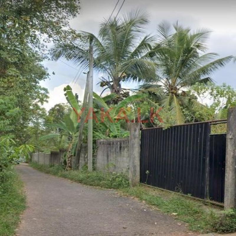 සුපිරි ඉඩමක්‌ විකිණීමට - හෝමාගම