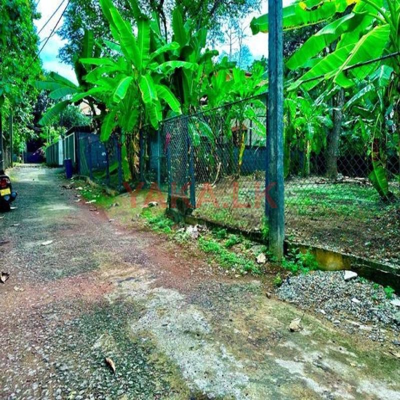Koswatta Land for Sale