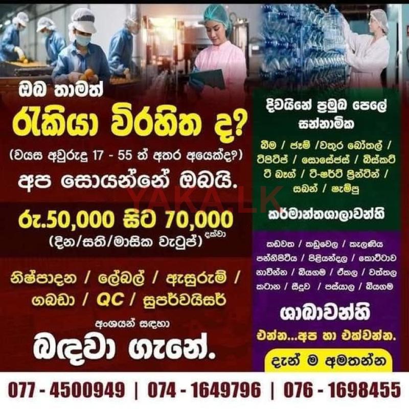 ප්‍රින්ටින් කර්මාන්තශාලා ලේබල් අංශ සේවක සේවිකා - කැළණිය