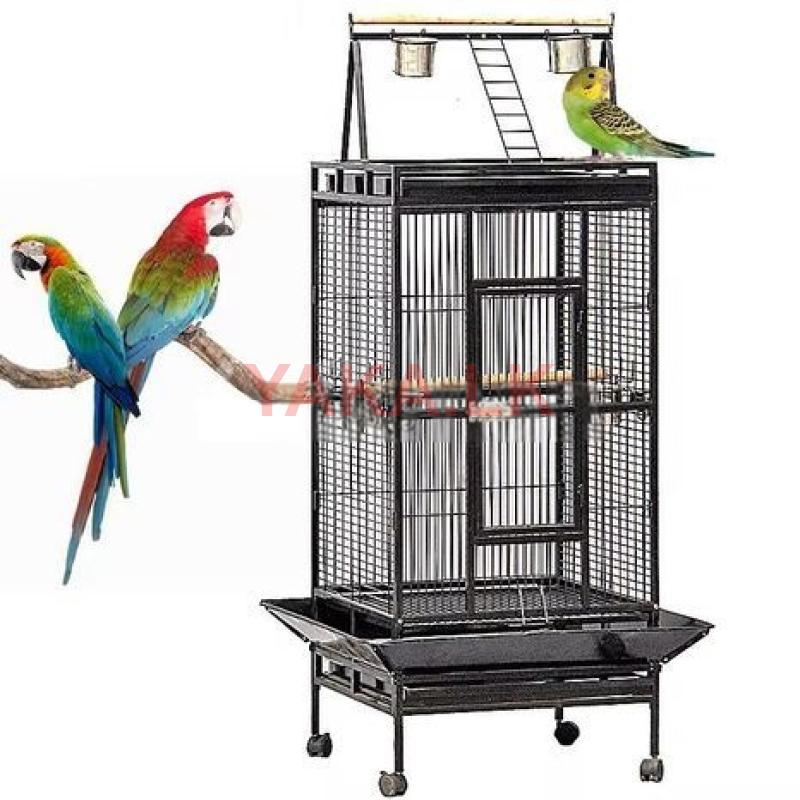 Exotic Bird Cages