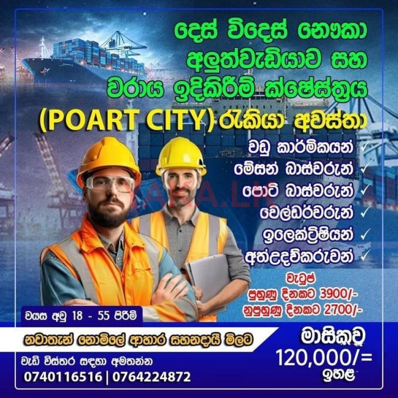 වරාය නැව් අලුත් වැඩියා අංශ කාර්මික මහතුන් - කොළඹ