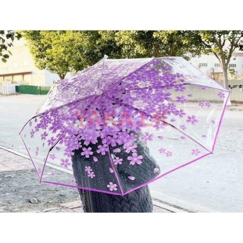 Korean Transparent Umbrella