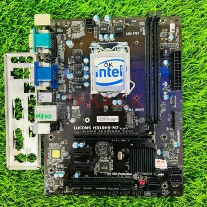 Lucoms H310 8 Th/9 Th Gen M.2 2 Ram Slot Motherboard
