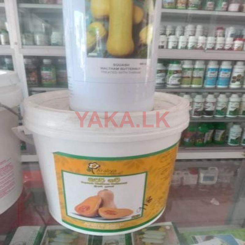 ඩුබා යි වට්ටක්කා ඇට බකට්