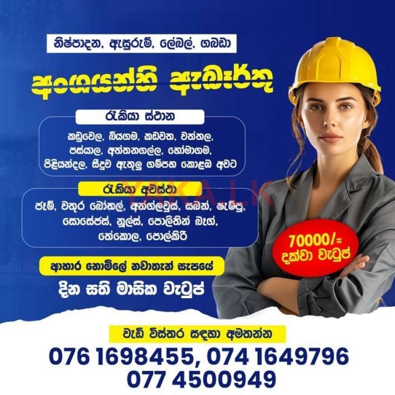 නූඩ්ල්ස් ඇසුරුම් අංශ සේවක සේවිකා - සීදූව