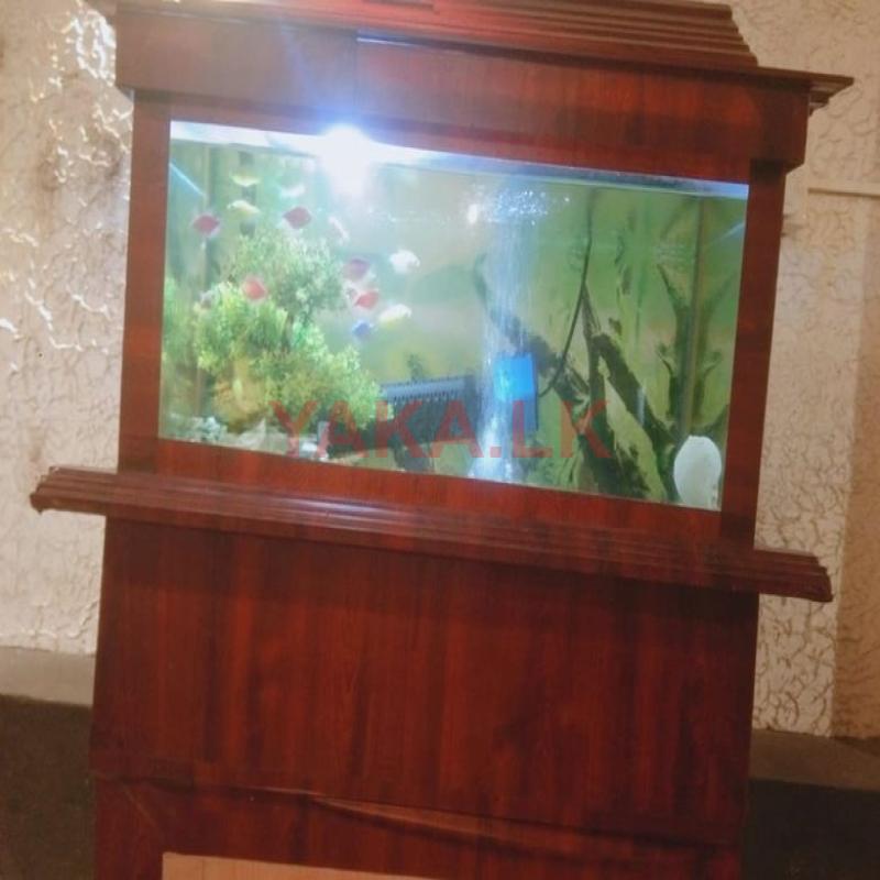 Fish tank