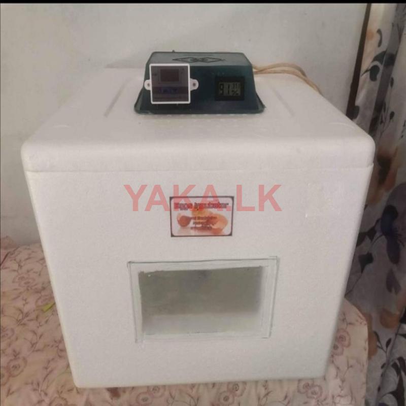 Egg Incubator