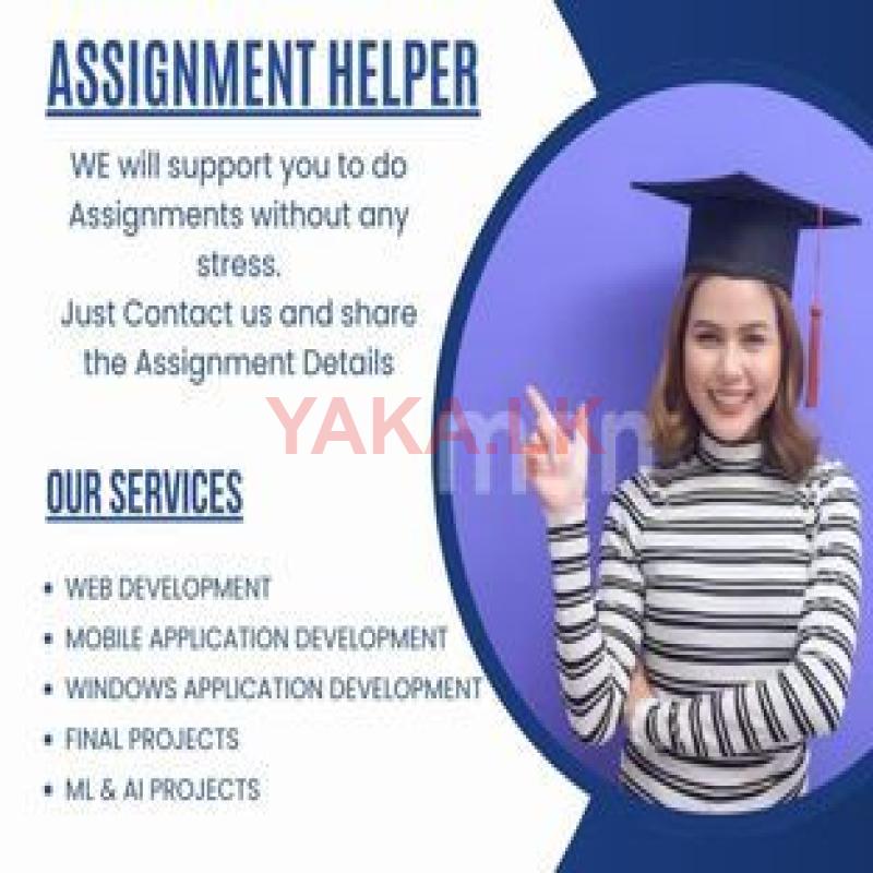 IT Assignment Support Service