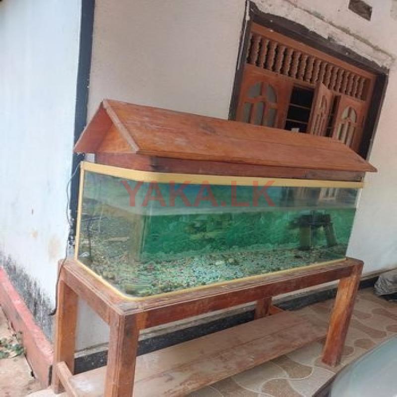 Fish Tank