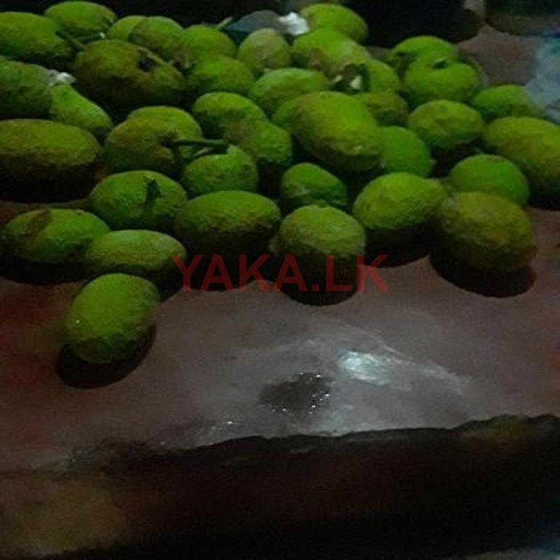 දෙල් ගෙඩි