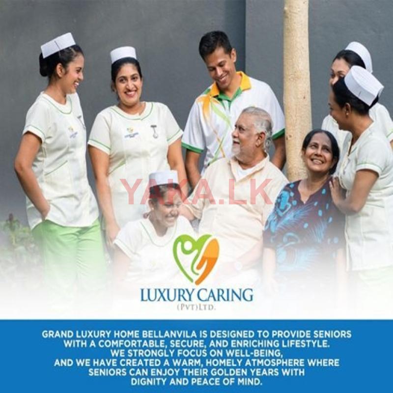 Nursing Home - Elders | Patient Care