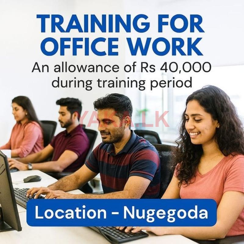 Customer Coordination Executive