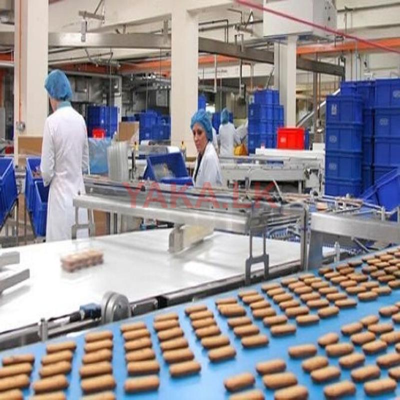 බිස්කට් / චොකලට් නිශ්පාදන ඇසුරුම් අංශ සේවක සේවිකාවන් - කොටහේන