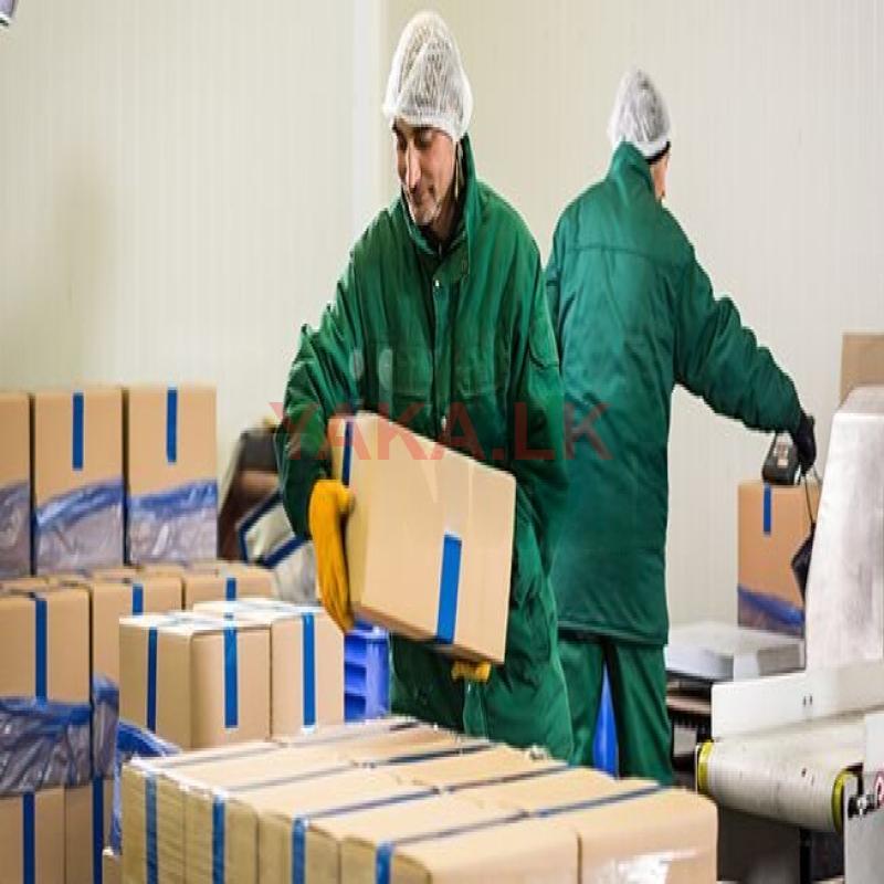 Packing Assistant - Homagama