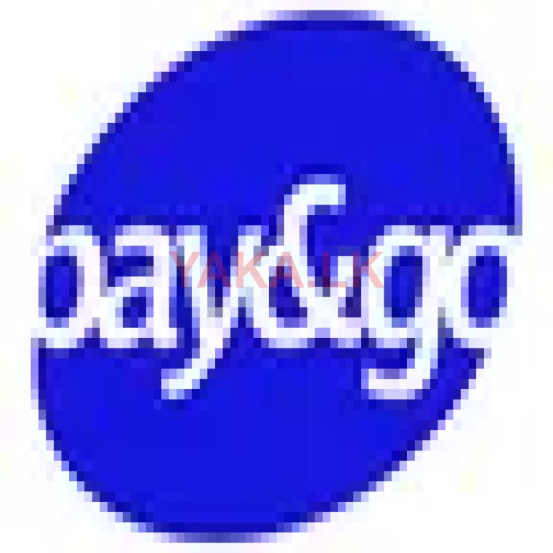 Senior Executive – Customer Experience