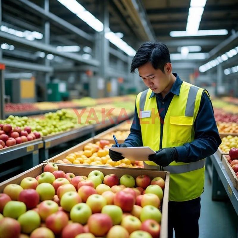 කර්මාන්තශාලා ඇසුරුම් අංශයේ