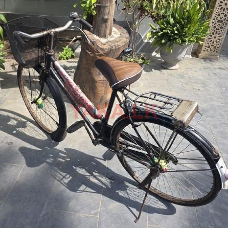 Lumala Bicycle