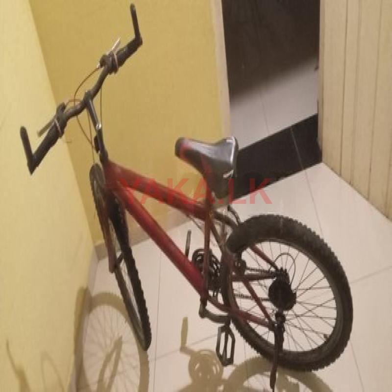 DSI Mountain Bicycle