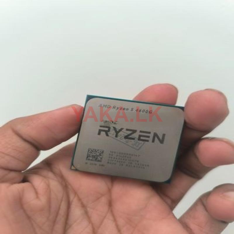 RYZEN 5 4600G Processer