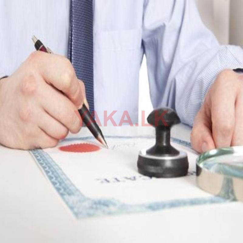 Document translation Service