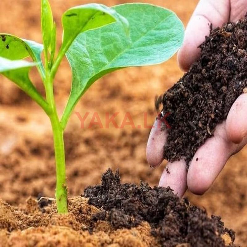 ගම් කුකුල් පොහොර